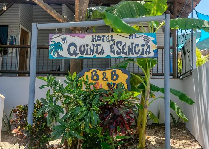 Bed and breakfast Quinta Esencia