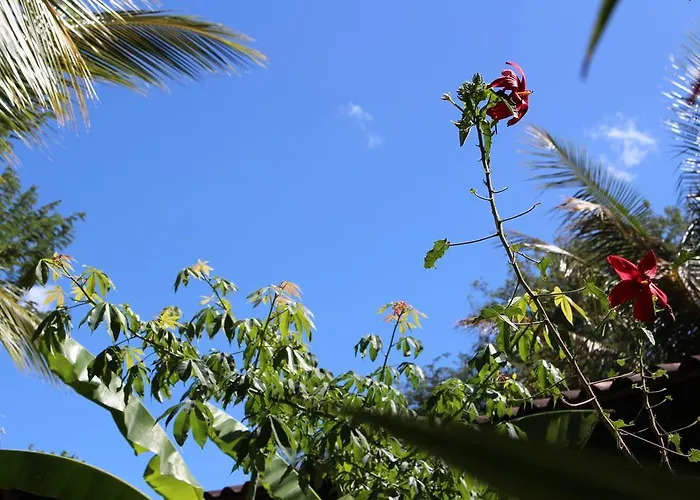 Bed and breakfast Quinta Esencia Brasilito